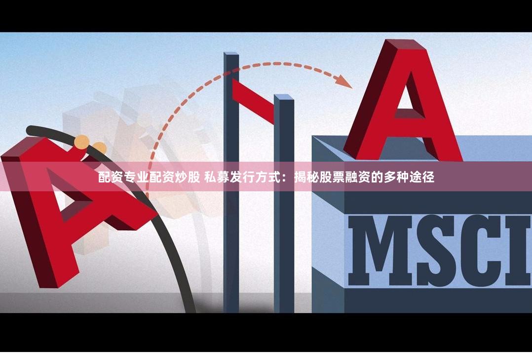 配资专业配资炒股 私募发行方式：揭秘股票融资的多种途径